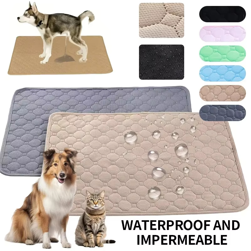 Yıkanabilir, Yeniden Kullanıla - Carriage Bed incelemesi ve fiyatı